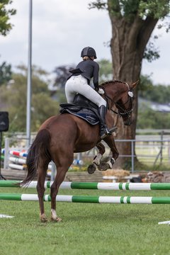 Bild 18 - Pony Akademie Turnier